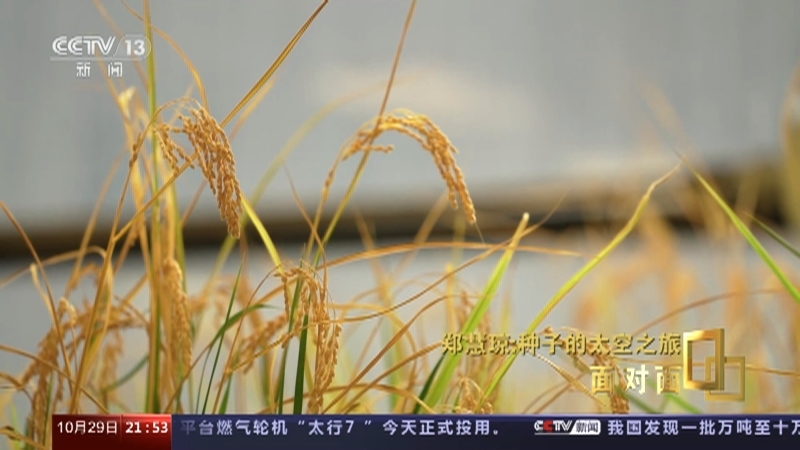面对面 《面对面》 20231029