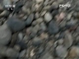 地理中国 《地理中国》 20160520 奎屯奇峡（中）