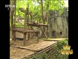新闻袋袋裤 《新闻袋袋裤》 20160627