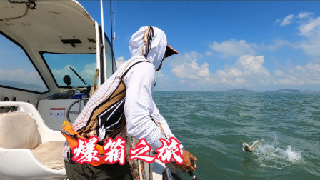 一天用了100多升油，阿杰凭经验不断找鱼，钓的鲈鱼一条比一条大