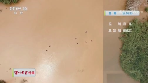 自然传奇 《自然传奇》 20200611 非洲河流之王