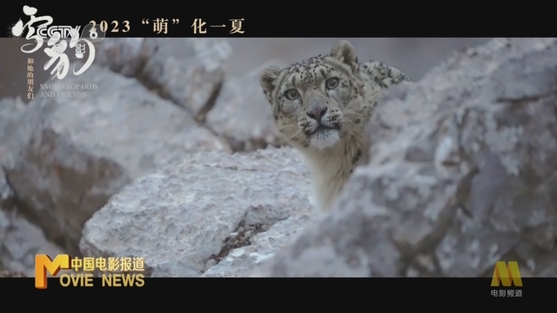中国电影报道 《中国电影报道》 20230811