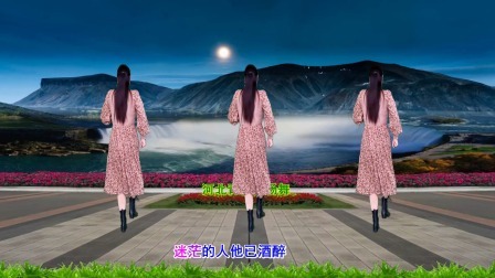 网络火爆DJ广场舞《月亮月亮你别睡》教学