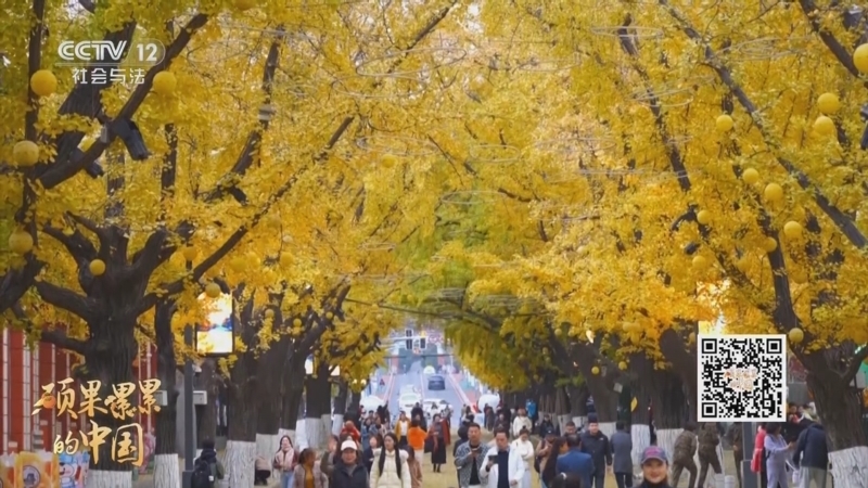 《热线12》 20251127