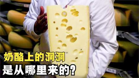 奶酪上为什么会有很多小孔，它的怎么形成的？看完涨知识了