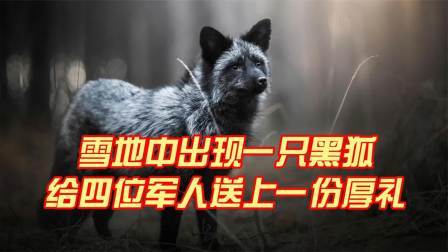 史记文学社第三季 雪地里出现一只黑狐，给四位军人送上一份厚礼