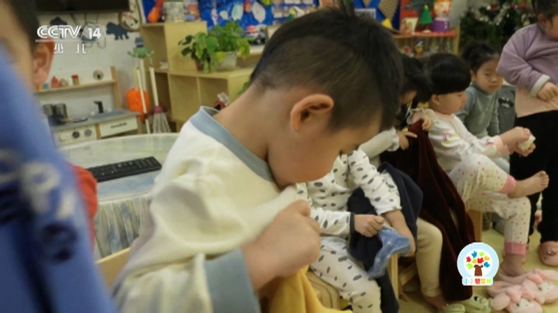 小小智慧树 《小小智慧树》 20251117