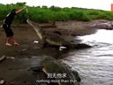 【环球趣闻】：徒手喂鳄鱼的导游们 32