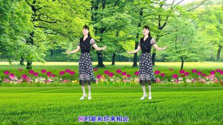 流行DJ广场舞及教学 第三季 新歌舞《谁家的姑娘这么美》32步附分解