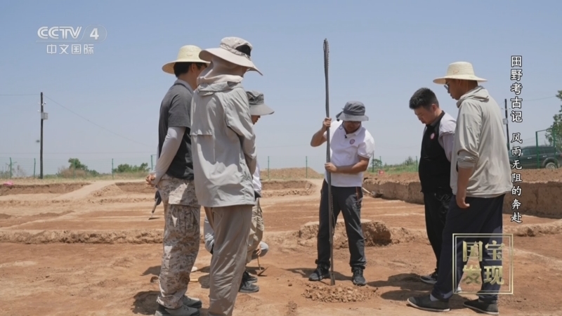 国宝&middot;发现 《国宝·发现》 20241006 田野考古记 风雨无阻的奔赴