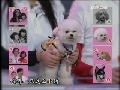 智慧树 智慧树 2009年 第31期