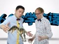 2015年60秒学英语 《侏罗纪世界》遭质疑？