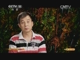 CCTV空中剧院 《CCTV空中剧院》 20141015 吉剧《焦裕禄》（访谈）