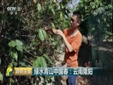 消费主张 《消费主张》 20180410 绿水青山中国春：云南隆阳