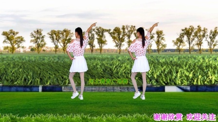 动感十足广场舞《一错再错》演示分解双教学