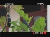 地理中国 《地理中国》 20121227 乡村谜案