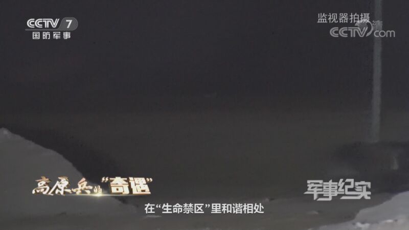 军事纪实 《军事纪实》 20201023 高原兵的“奇遇”