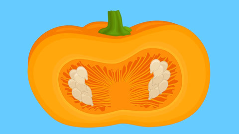 积木宝贝闯世界 第3季 南瓜灯的魔法