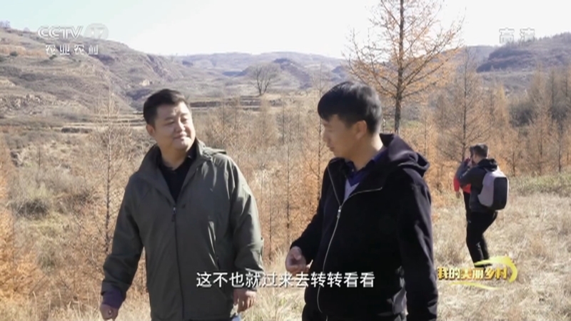《我的美丽乡村》 20210331 复活的千年古城