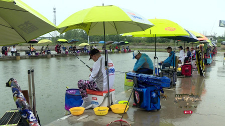 《四海战队之荣誉勋章》第三季 第12期