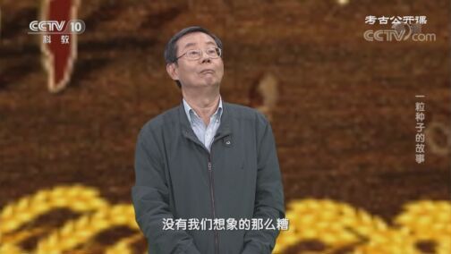 考古公开课 《考古公开课》 20200719 一粒种子的故事