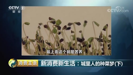 消费主张 《消费主张》 20181003 新消费新生活：城里人的种菜梦（下）