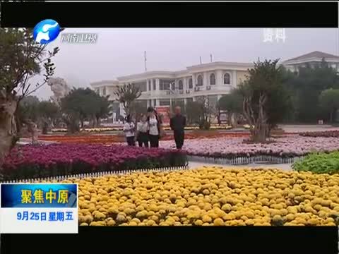 聚焦中原 《聚焦中原》 20150925 小花木 大“钱”景