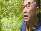 体育在线 《体育在线》 20150702