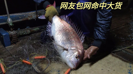 南澳岛赶海日记 彪哥在外海放网引来网友包网，命中6斤重的大货，还有海红斑