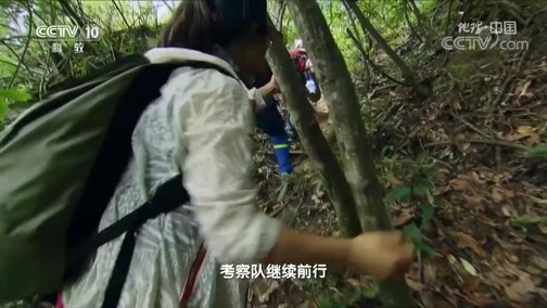 地理中国 《地理·中国》 20200327 自然胜景·天门奇洞