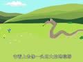 秒懂少儿乐学堂之爬行动物篇 盘点五大恐怖蟒蛇