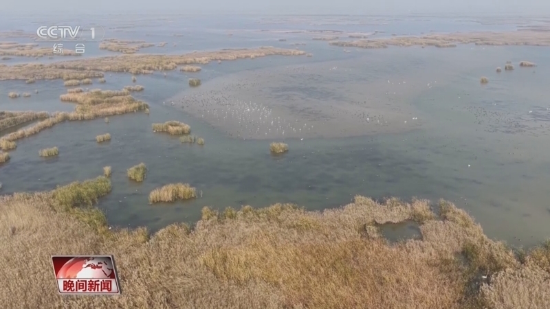 《晚间新闻》 20251101