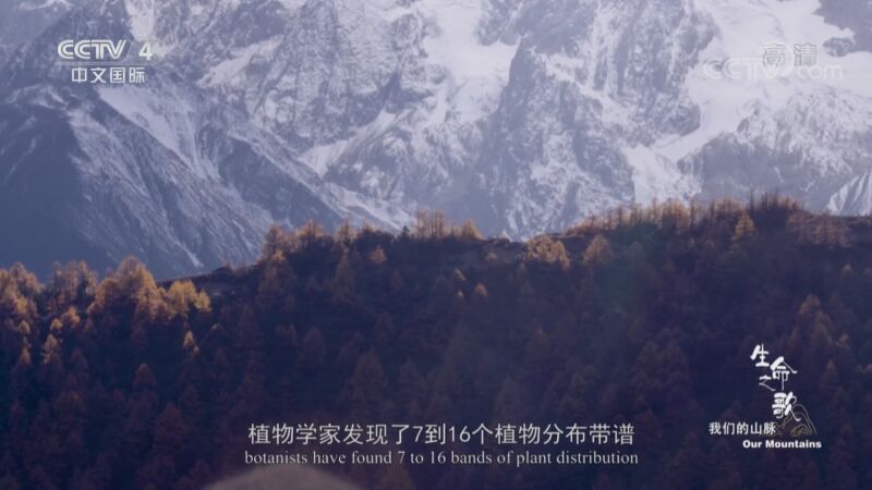 《生命之歌》 第1集 我们的山脉