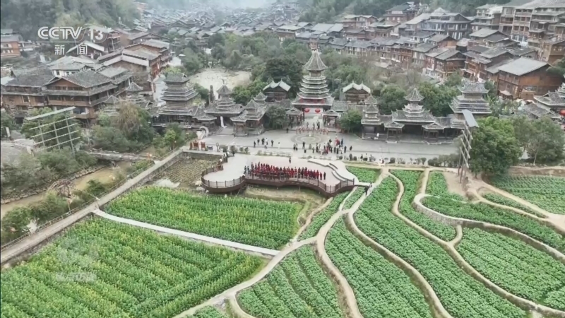 《焦点访谈》 20260218 足迹 侗寨歌生香