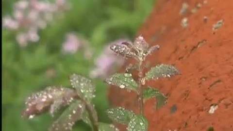 四海漫游 彝山深处有人家