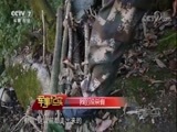 军事纪实 《军事纪实》 20180309 我的探亲假 樟木爱情故事（下）