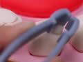 宝宝巴士玩具 小小牙医