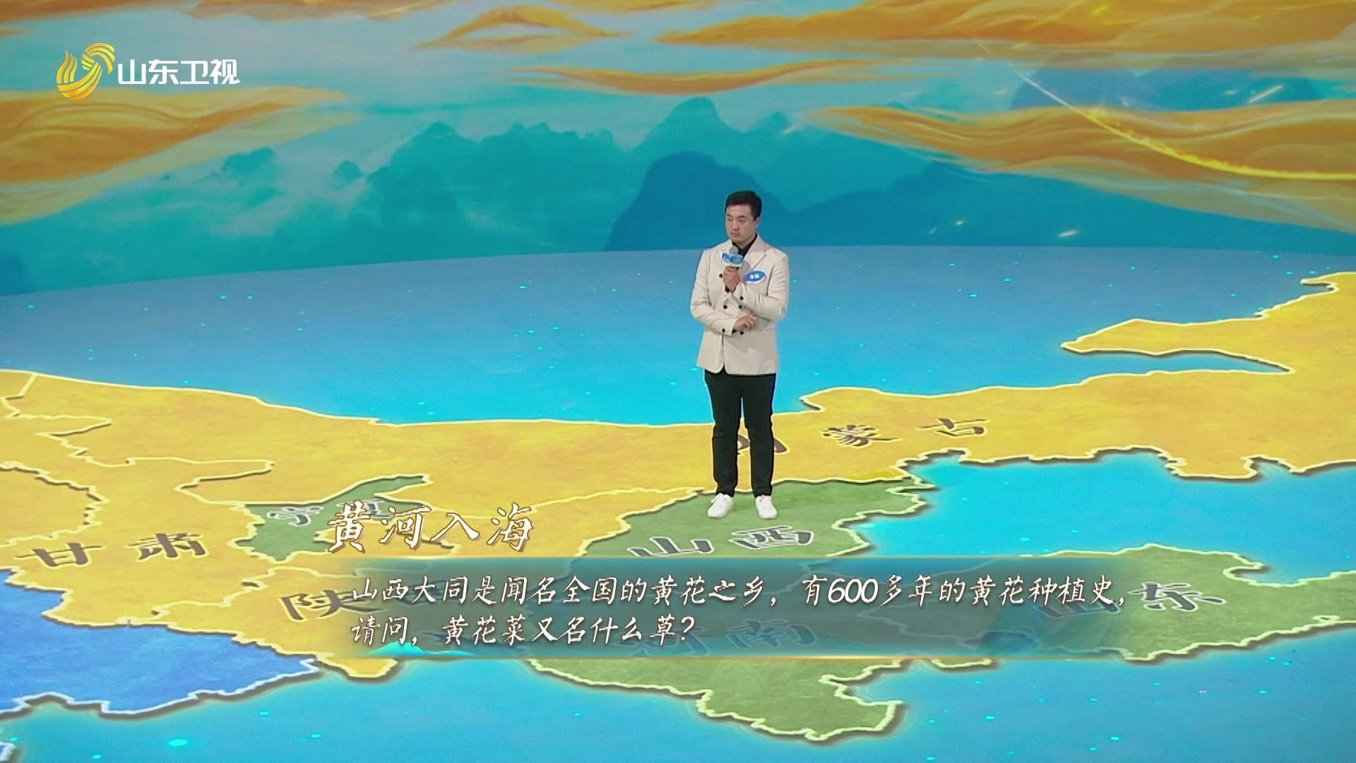 黄河文化大会 第二季 黄河文化大会第二季 第11期