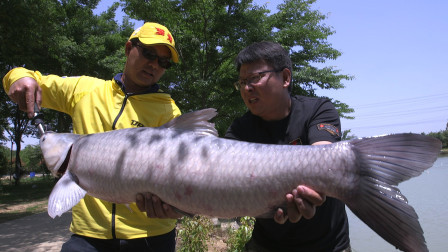 第二季第54期：迎难而上挑大青，爆口连竿忙不停