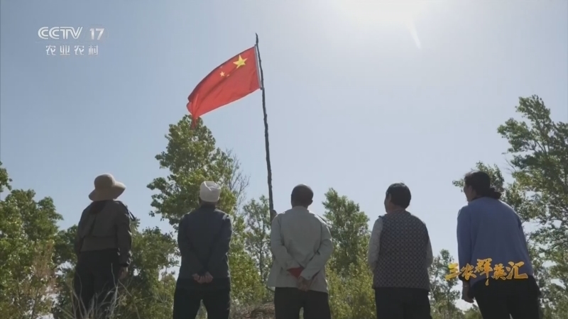 三农群英汇 《三农群英汇》 20260312 万亩沙地的绿色接力