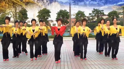 广场舞 广场舞《美美哒》