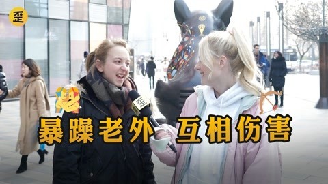 歪果仁研究协会 暴躁老外互相伤害