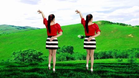 背面广场舞《为什么你要走》简单好看