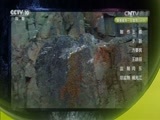 自然传奇 《自然传奇》 20170516 动物角斗士