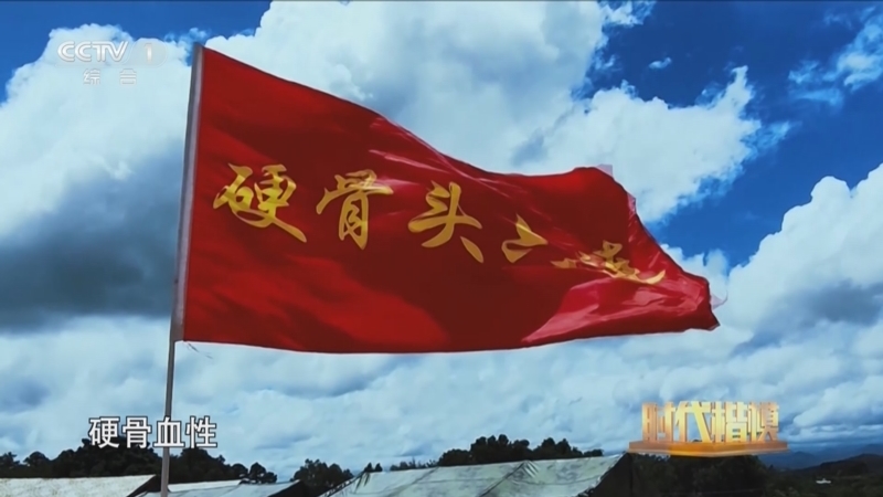 时代楷模发布厅 《时代楷模发布厅》 20200729