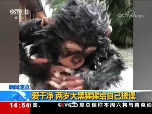 新闻直播间 《新闻直播间》 20181122 14:00