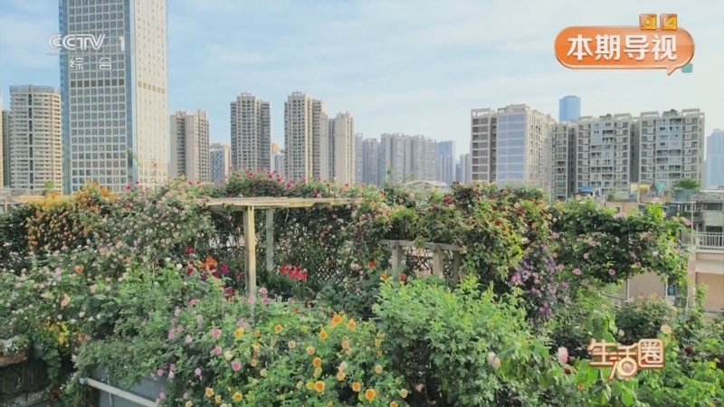 生活圈 《生活圈》 20250503 快乐过“五一” 健康有处方