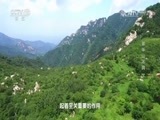 地理中国 《地理中国》 20170214 翠华山冰洞（下）
