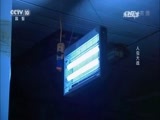 走近科学 《走近科学》 20170710 人虫大战