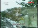 生财有道 《求婚》 第二部 第6集